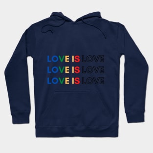 love is love Hoodie